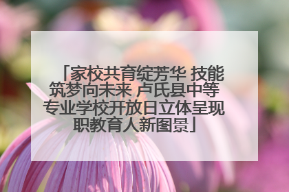 家校共育绽芳华 技能筑梦向未来 卢氏县中等专业学校开放日立体呈现职教育人新图景