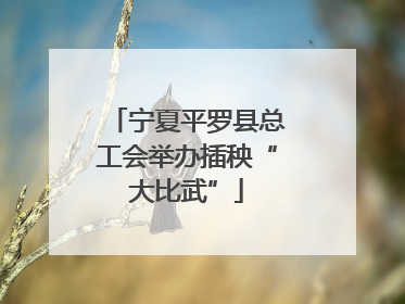 宁夏平罗县总工会举办插秧“大比武”