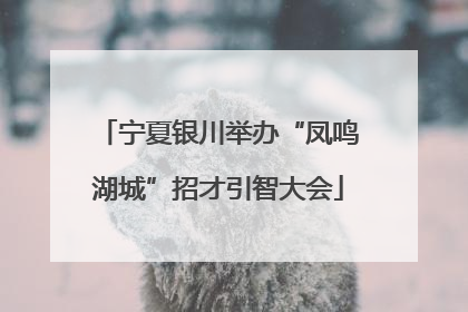 宁夏银川举办“凤鸣湖城”招才引智大会