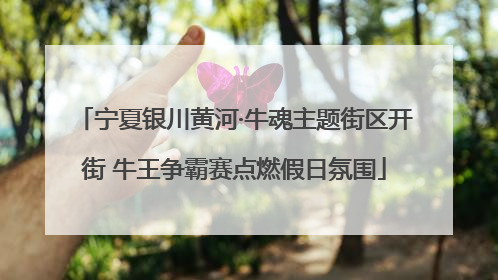 宁夏银川黄河·牛魂主题街区开街 牛王争霸赛点燃假日氛围