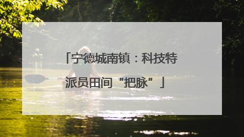 宁德城南镇：科技特派员田间“把脉”
