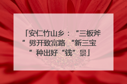 安仁竹山乡：“三板斧”劈开致富路 “新三宝”种出好“钱”景