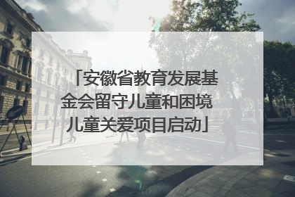 安徽省教育发展基金会留守儿童和困境儿童关爱项目启动
