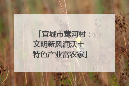 宜城市莺河村：文明新风润沃土 特色产业富农家