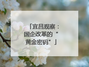 宜昌观察：国企改革的“黄金密码”