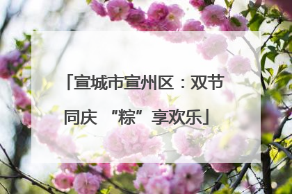 宣城市宣州区：双节同庆 “粽”享欢乐