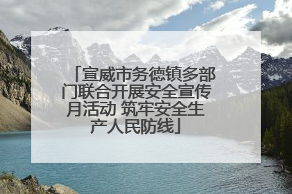 宣威市务德镇多部门联合开展安全宣传月活动 筑牢安全生产人民防线