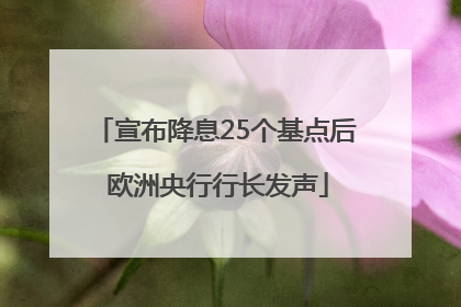 宣布降息25个基点后 欧洲央行行长发声