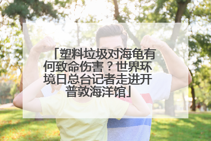 塑料垃圾对海龟有何致命伤害？世界环境日总台记者走进开普敦海洋馆