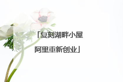 复刻湖畔小屋 阿里重新创业
