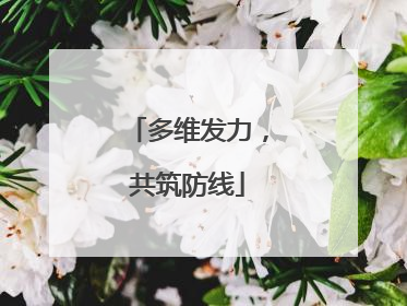 多维发力，共筑防线