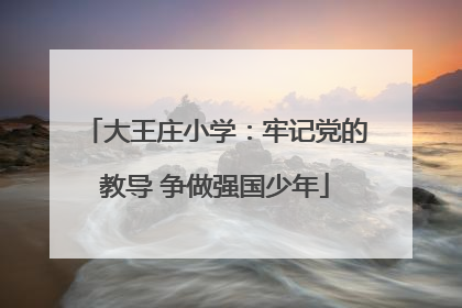 大王庄小学：牢记党的教导 争做强国少年