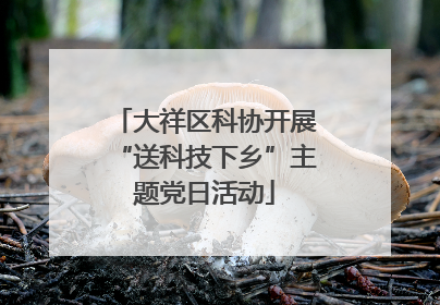 大祥区科协开展“送科技下乡”主题党日活动