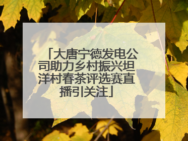 大唐宁德发电公司助力乡村振兴坦洋村春茶评选赛直播引关注