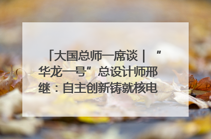 大国总师一席谈｜“华龙一号”总设计师邢继：自主创新铸就核电“国家名片”