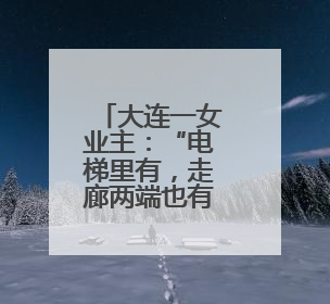 大连一女业主：“电梯里有，走廊两端也有，这令我没有安全感”，物业最新回应……