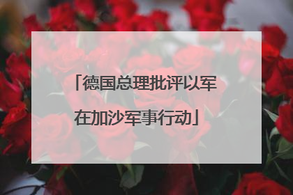 德国总理批评以军在加沙军事行动