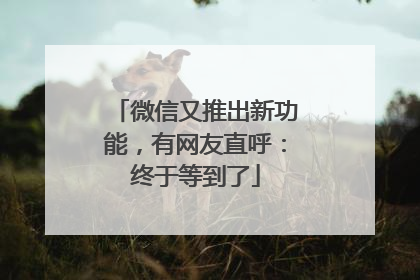 微信又推出新功能，有网友直呼：终于等到了