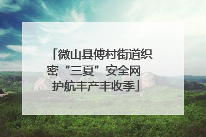微山县傅村街道织密“三夏”安全网 护航丰产丰收季