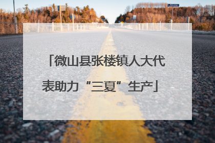 微山县张楼镇人大代表助力“三夏”生产