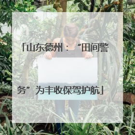 山东德州：“田间警务”为丰收保驾护航