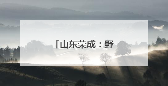 山东荣成：野生海参采捕忙