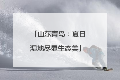 山东青岛：夏日湿地尽显生态美