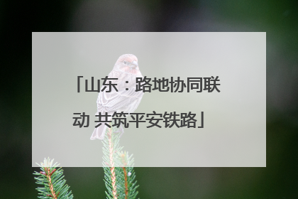 山东：路地协同联动 共筑平安铁路