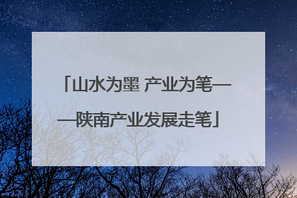 山水为墨 产业为笔——陕南产业发展走笔