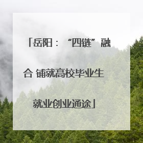 岳阳：“四链”融合 铺就高校毕业生就业创业通途