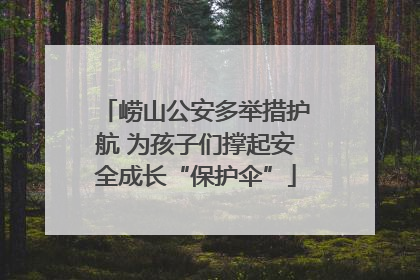 崂山公安多举措护航 为孩子们撑起安全成长“保护伞”