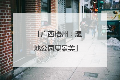 广西梧州：湿地公园夏景美