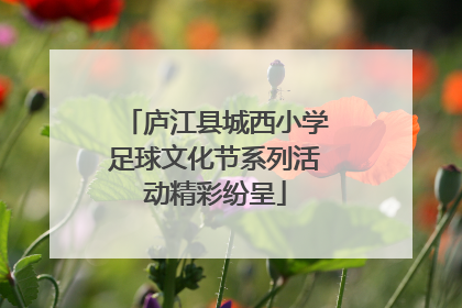 庐江县城西小学足球文化节系列活动精彩纷呈