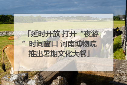 延时开放 打开“夜游”时间窗口 河南博物院推出暑期文化大餐