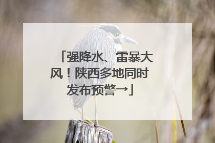 强降水、雷暴大风！陕西多地同时发布预警→