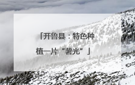 开鲁县：特色种植一片“薯光”