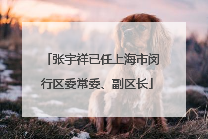 张宇祥已任上海市闵行区委常委、副区长