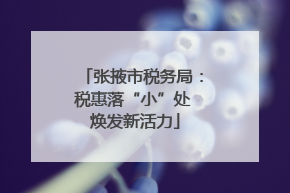 张掖市税务局：税惠落“小”处 焕发新活力