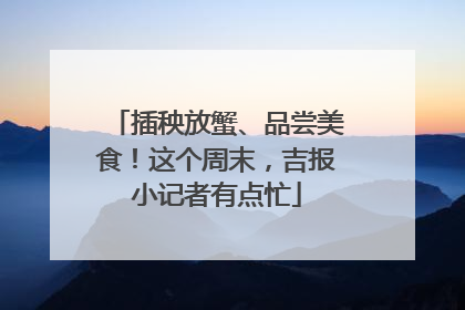 插秧放蟹、品尝美食！这个周末，吉报小记者有点忙
