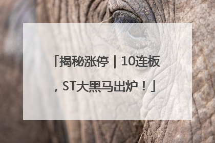 揭秘涨停｜10连板，ST大黑马出炉！