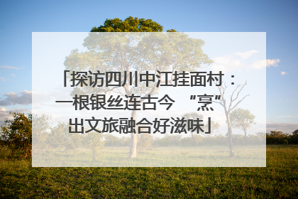 探访四川中江挂面村：一根银丝连古今 “烹”出文旅融合好滋味
