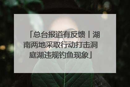 总台报道有反馈丨湖南两地采取行动打击洞庭湖违规钓鱼现象