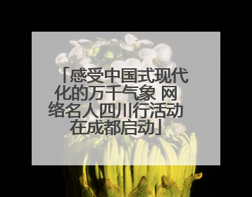 感受中国式现代化的万千气象 网络名人四川行活动在成都启动