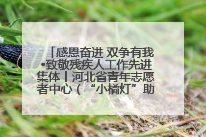 感恩奋进 双争有我•致敬残疾人工作先进集体丨河北省青年志愿者中心（“小橘灯”助残接力计划实施团队）：用温暖陪伴，守护特殊孩子成长