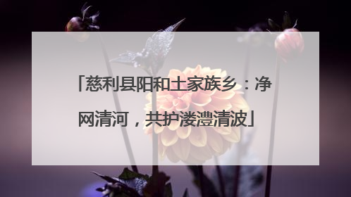 慈利县阳和土家族乡：净网清河，共护溇澧清波