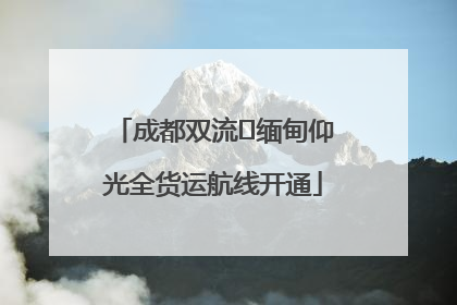 成都双流⇌缅甸仰光全货运航线开通