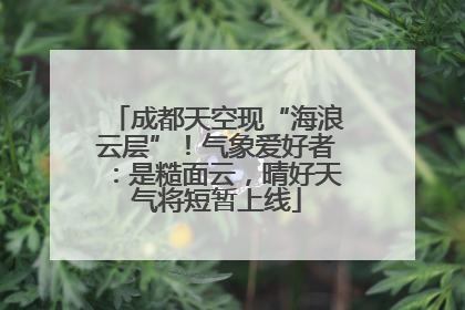 成都天空现“海浪云层”！气象爱好者：是糙面云，晴好天气将短暂上线