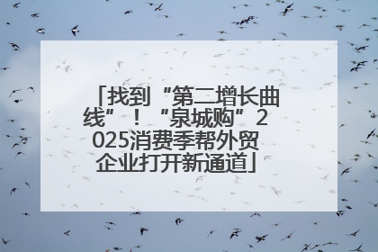 找到“第二增长曲线”！“泉城购”2025消费季帮外贸企业打开新通道