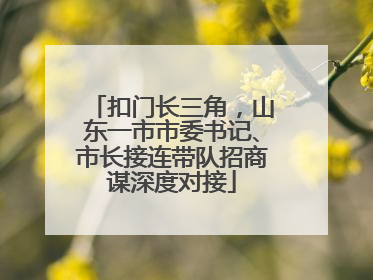 扣门长三角，山东一市市委书记、市长接连带队招商谋深度对接