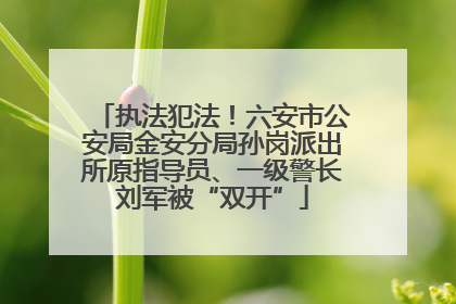 执法犯法！六安市公安局金安分局孙岗派出所原指导员、一级警长刘军被“双开”